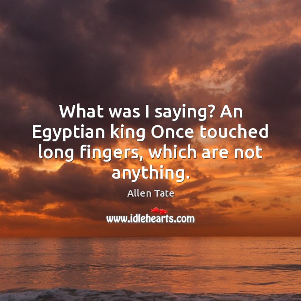 What was I saying? An Egyptian king Once touched long fingers, which are not anything. Allen Tate Picture Quote