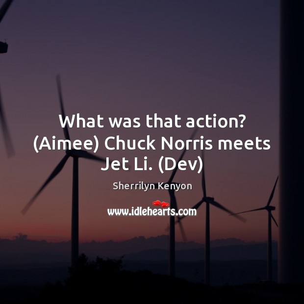 What was that action? (Aimee) Chuck Norris meets Jet Li. (Dev) Image