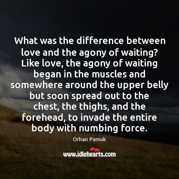 What was the difference between love and the agony of waiting? Like Orhan Pamuk Picture Quote