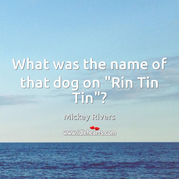 What was the name of that dog on “Rin Tin Tin”? Mickey Rivers Picture Quote