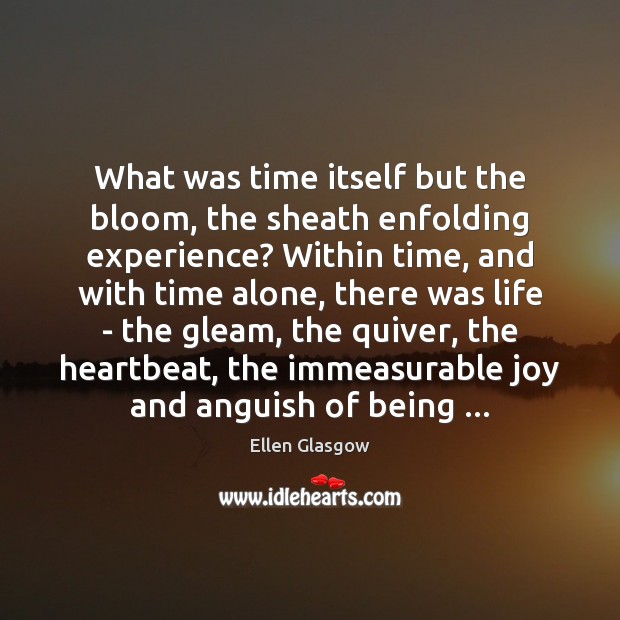 What was time itself but the bloom, the sheath enfolding experience? Within Ellen Glasgow Picture Quote