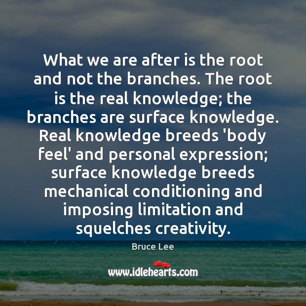 What we are after is the root and not the branches. The Bruce Lee Picture Quote