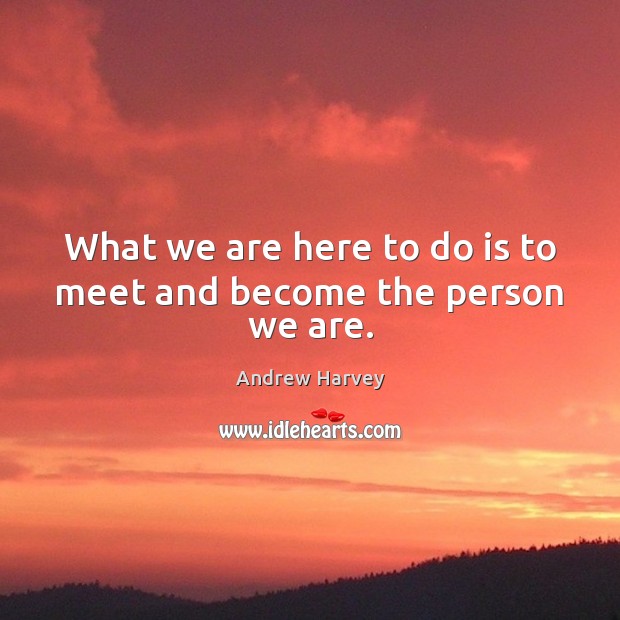 What we are here to do is to meet and become the person we are. Andrew Harvey Picture Quote