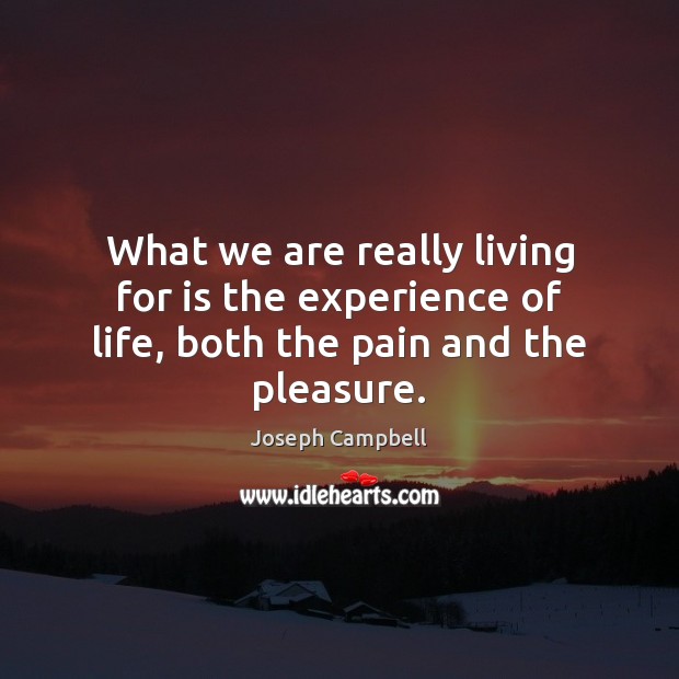 What we are really living for is the experience of life, both the pain and the pleasure. Joseph Campbell Picture Quote