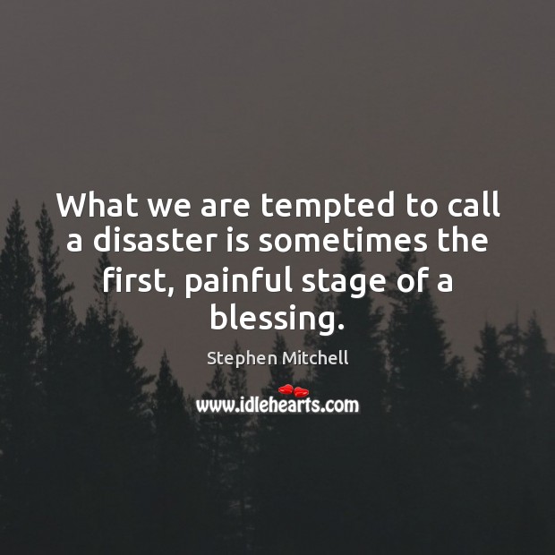 What we are tempted to call a disaster is sometimes the first, Stephen Mitchell Picture Quote