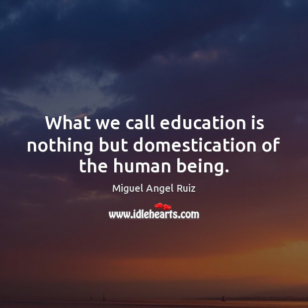 What we call education is nothing but domestication of the human being. Miguel Angel Ruiz Picture Quote