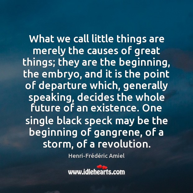 What we call little things are merely the causes of great things; Image