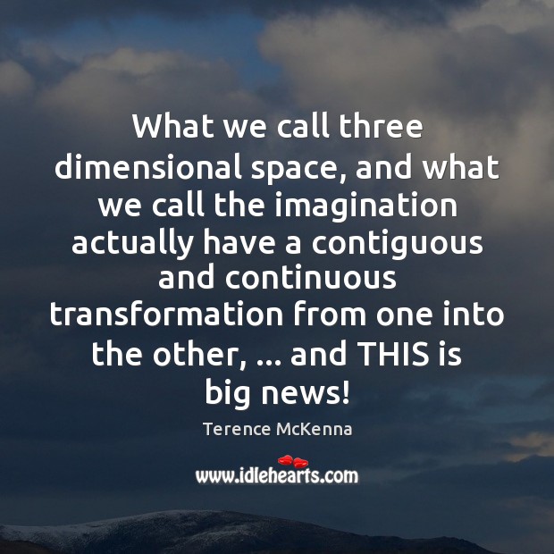 What we call three dimensional space, and what we call the imagination Terence McKenna Picture Quote