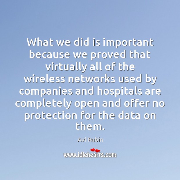 What we did is important because we proved that virtually all of Avi Rubin Picture Quote
