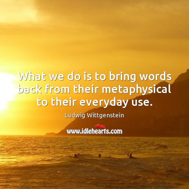 What we do is to bring words back from their metaphysical to their everyday use. Ludwig Wittgenstein Picture Quote