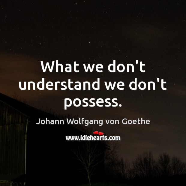 What we don’t understand we don’t possess. Johann Wolfgang von Goethe Picture Quote