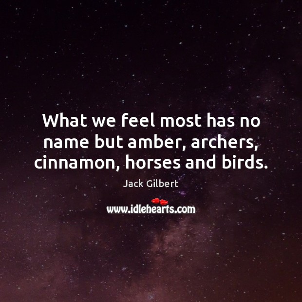 What we feel most has no name but amber, archers, cinnamon, horses and birds. Jack Gilbert Picture Quote
