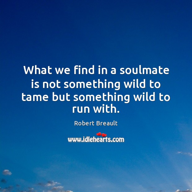What we find in a soulmate is not something wild to tame but something wild to run with. Robert Breault Picture Quote