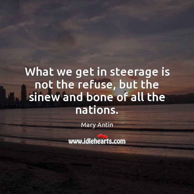 What we get in steerage is not the refuse, but the sinew and bone of all the nations. Image
