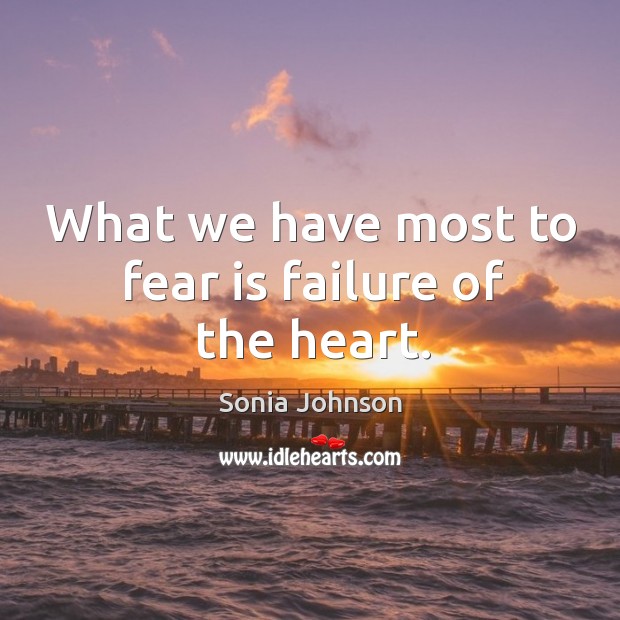 What we have most to fear is failure of the heart. Sonia Johnson Picture Quote