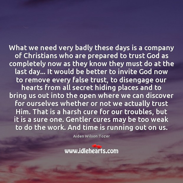 What we need very badly these days is a company of Christians Aiden Wilson Tozer Picture Quote