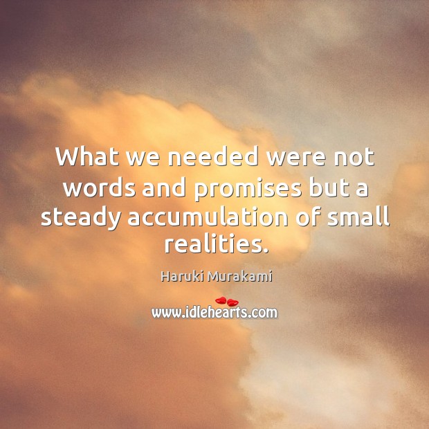 What we needed were not words and promises but a steady accumulation of small realities. Image