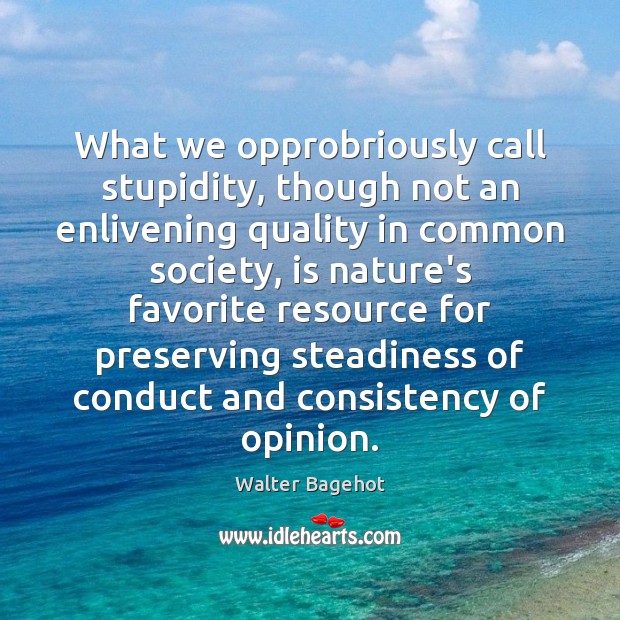 What we opprobriously call stupidity, though not an enlivening quality in common Walter Bagehot Picture Quote