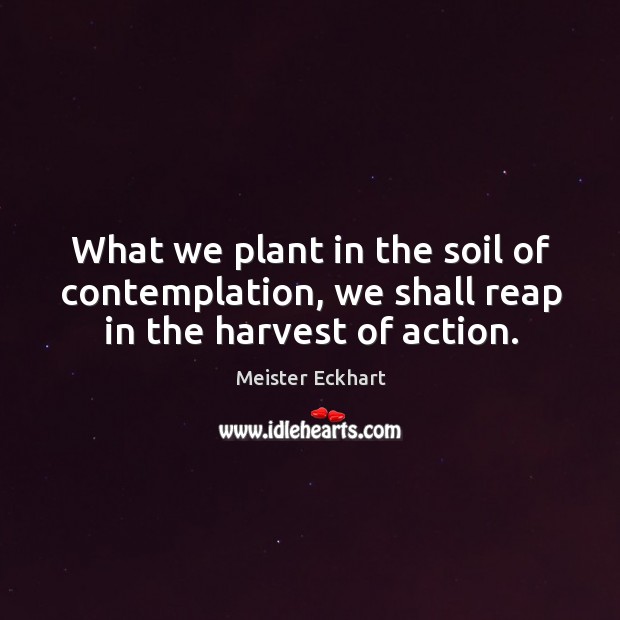 What we plant in the soil of contemplation, we shall reap in the harvest of action. Meister Eckhart Picture Quote