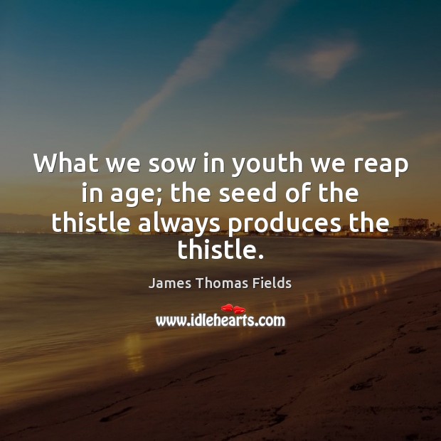What we sow in youth we reap in age; the seed of the thistle always produces the thistle. James Thomas Fields Picture Quote