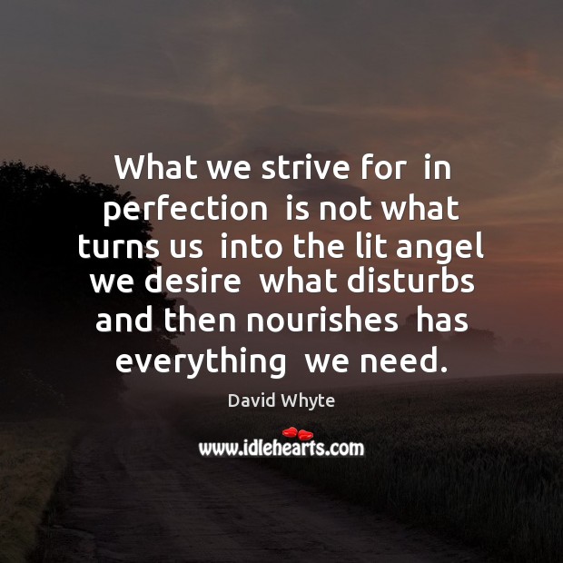 What we strive for  in perfection  is not what turns us  into Image