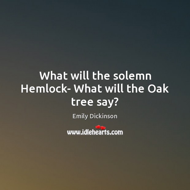 What will the solemn Hemlock- What will the Oak tree say? Emily Dickinson Picture Quote