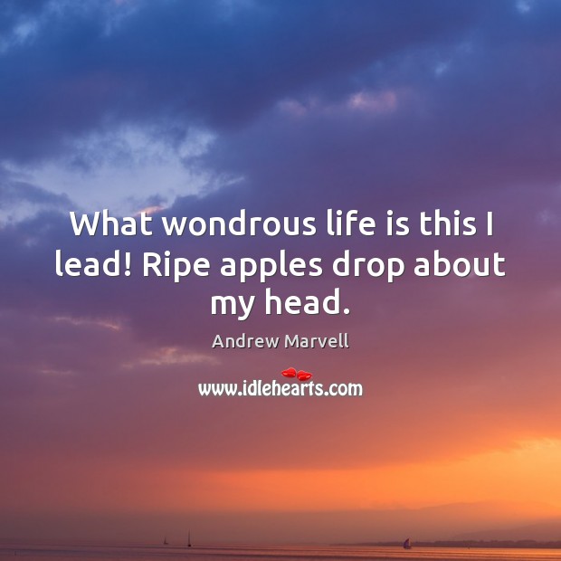 What wondrous life is this I lead! Ripe apples drop about my head. Andrew Marvell Picture Quote