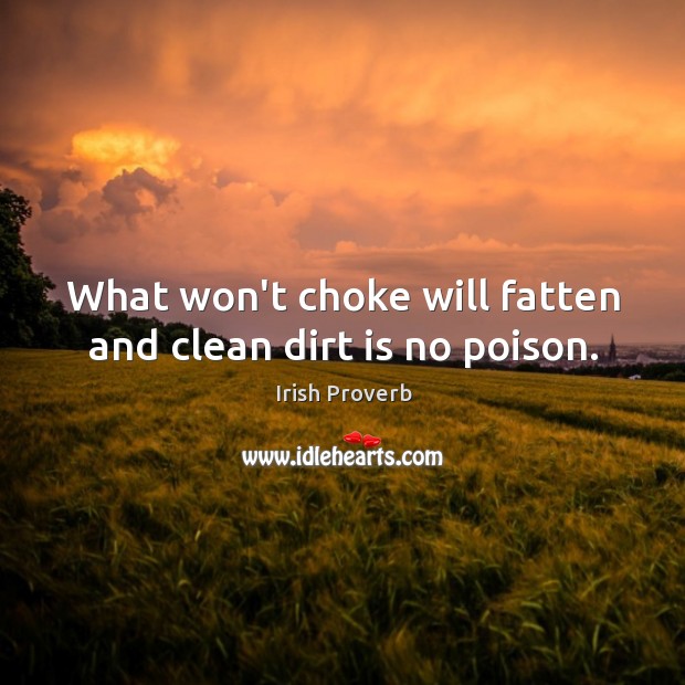 What won’t choke will fatten and clean dirt is no poison. Irish Proverbs Image