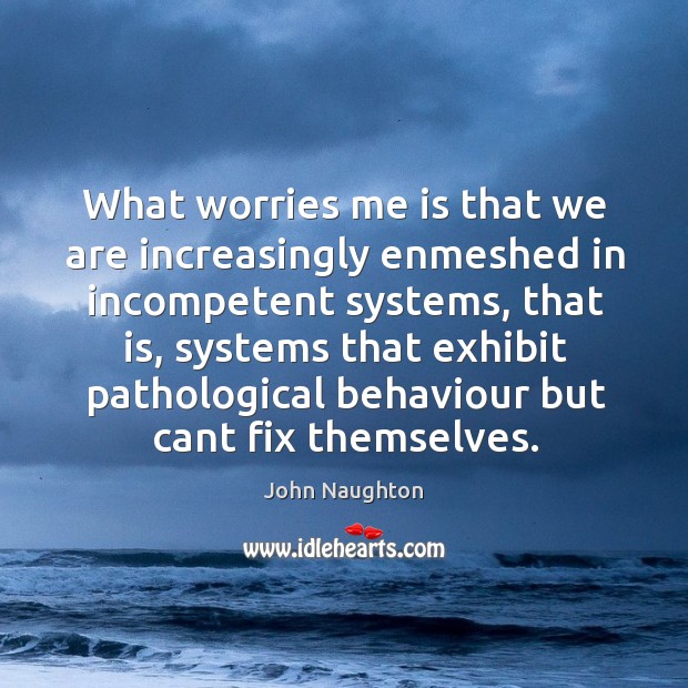 What worries me is that we are increasingly enmeshed in incompetent systems, Image