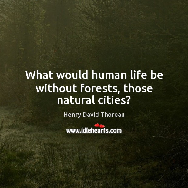 What would human life be without forests, those natural cities? Image