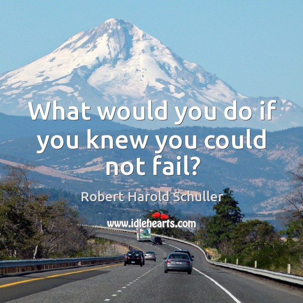 What would you do if you knew you could not fail? Robert Harold Schuller Picture Quote