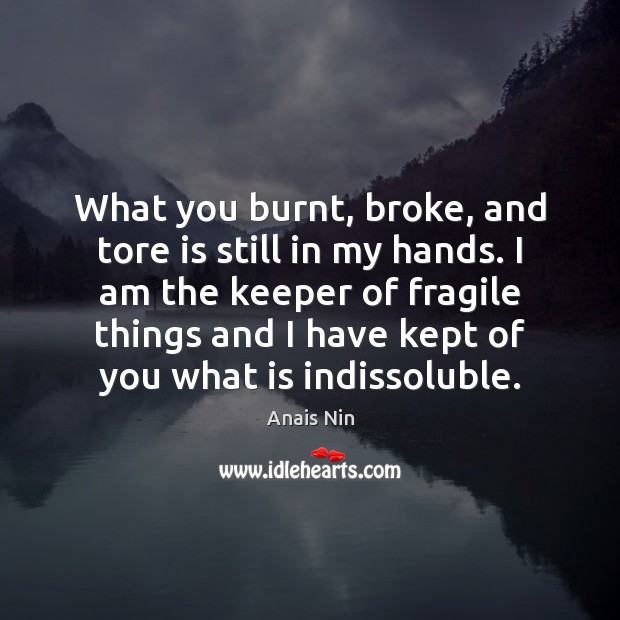 What you burnt, broke, and tore is still in my hands. I Anais Nin Picture Quote