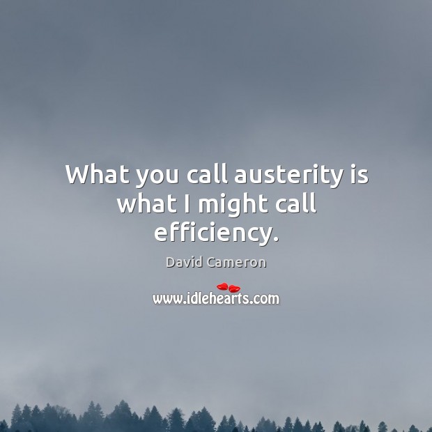 What you call austerity is what I might call efficiency. David Cameron Picture Quote