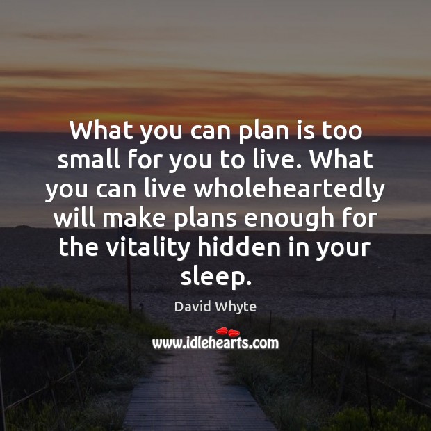 What you can plan is too small for you to live. What Hidden Quotes Image