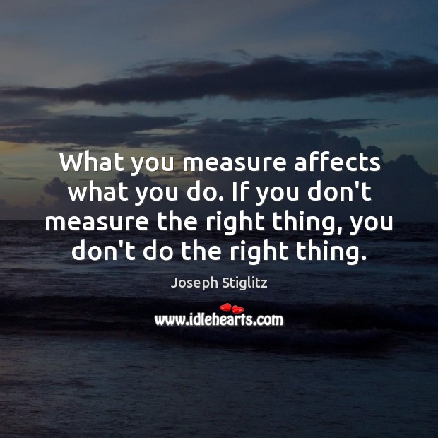 What you measure affects what you do. If you don’t measure the Joseph Stiglitz Picture Quote