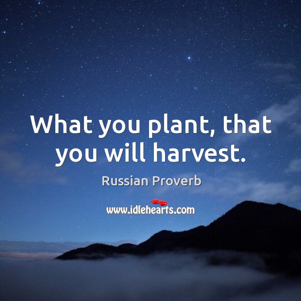 What you plant, that you will harvest. Image