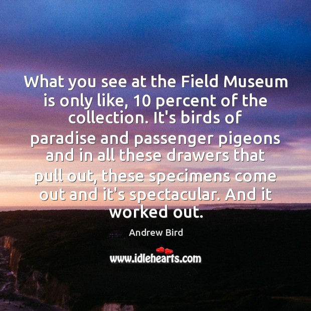 What you see at the Field Museum is only like, 10 percent of Andrew Bird Picture Quote