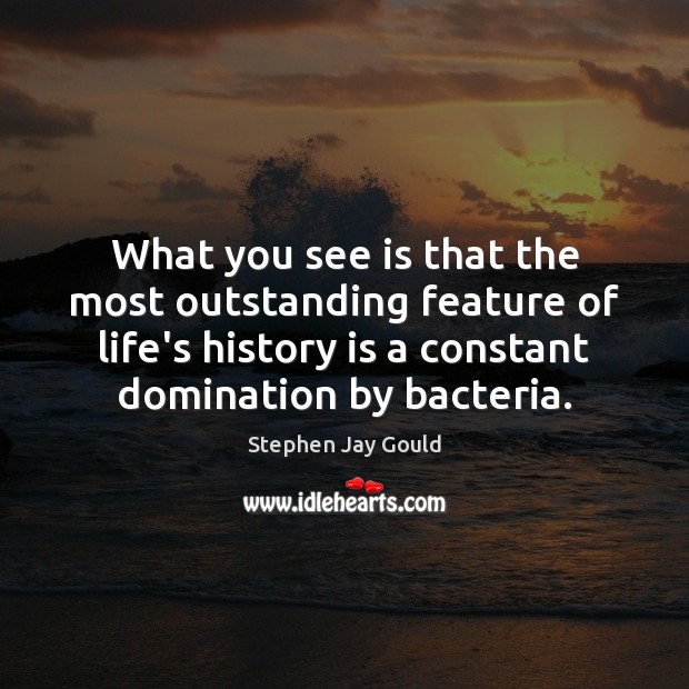 What you see is that the most outstanding feature of life’s history Stephen Jay Gould Picture Quote