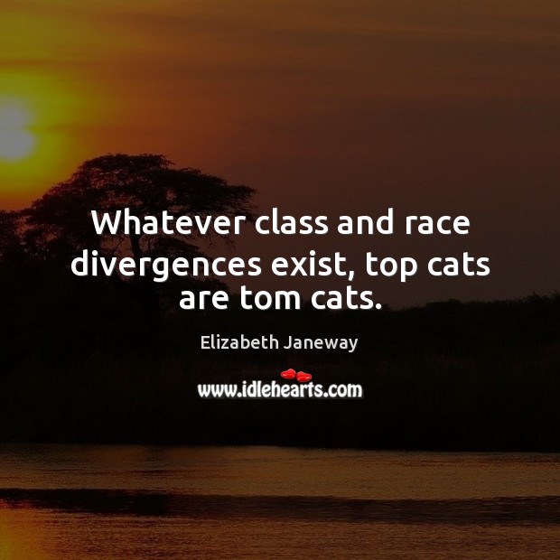 Whatever class and race divergences exist, top cats are tom cats. Elizabeth Janeway Picture Quote