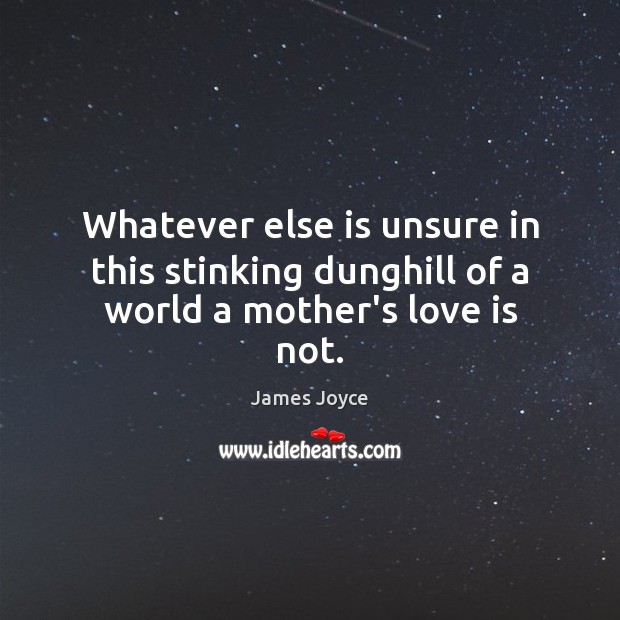 Whatever else is unsure in this stinking dunghill of a world a mother’s love is not. James Joyce Picture Quote