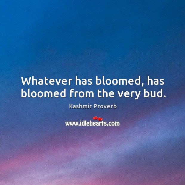 Whatever has bloomed, has bloomed from the very bud. Kashmir Proverbs Image