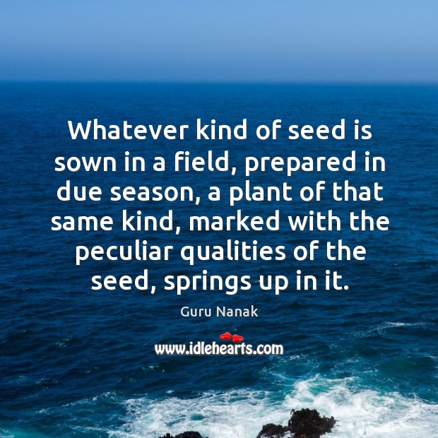 Whatever kind of seed is sown in a field, prepared in due season Guru Nanak Picture Quote