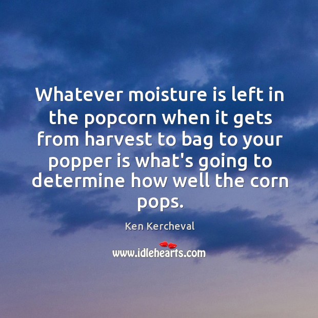 Whatever moisture is left in the popcorn when it gets from harvest Ken Kercheval Picture Quote