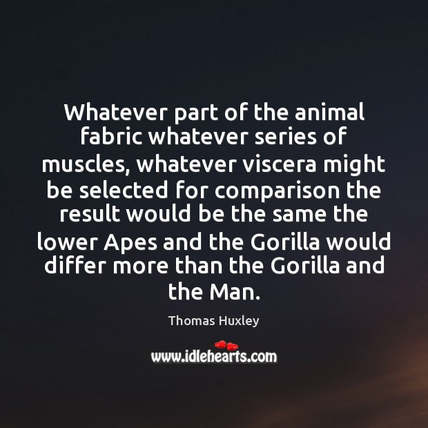 Whatever part of the animal fabric whatever series of muscles, whatever viscera Thomas Huxley Picture Quote