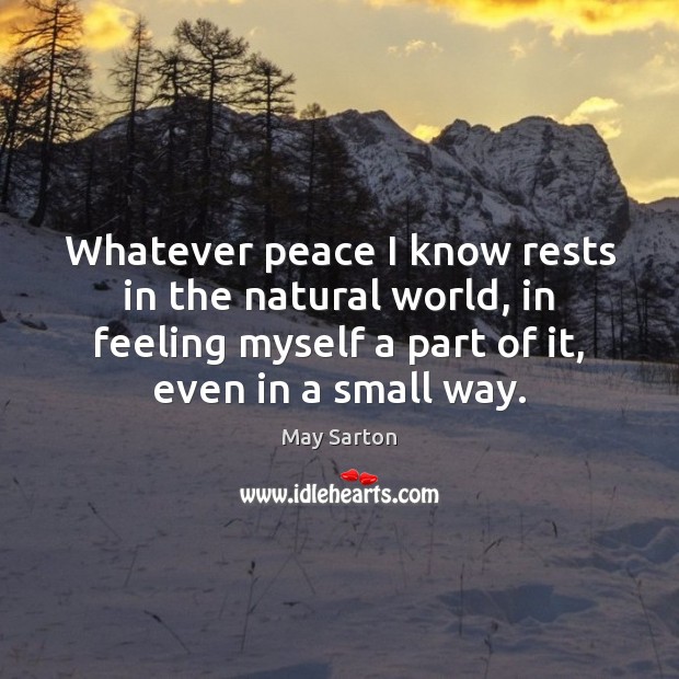 Whatever peace I know rests in the natural world, in feeling myself May Sarton Picture Quote