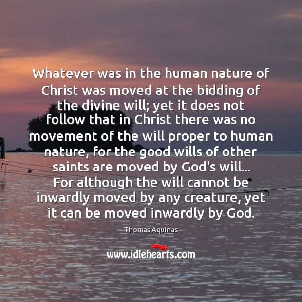 Whatever was in the human nature of Christ was moved at the Image