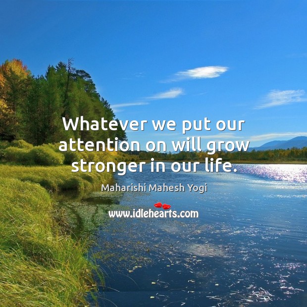 Whatever we put our attention on will grow stronger in our life. Image