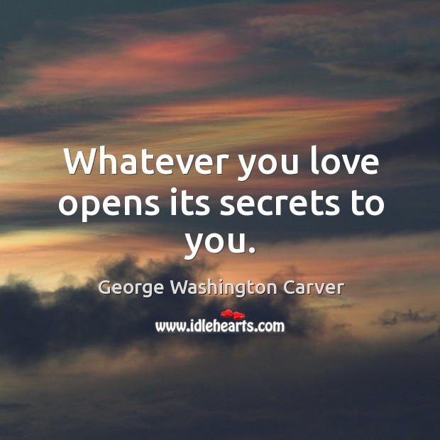 Whatever you love opens its secrets to you. George Washington Carver Picture Quote
