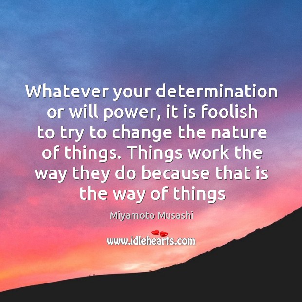 Whatever your determination or will power, it is foolish to try to Determination Quotes Image