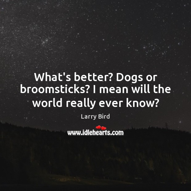 What’s better? Dogs or broomsticks? I mean will the world really ever know? 